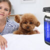 17 Indoor bedroom usage of solar bug zapper, safe for children and pet dogs