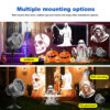 Dual installation Halloween projector light, wall mounting & flat placement outdoor Halloween light with ghost skull skeleton patterns for house Halloween decor